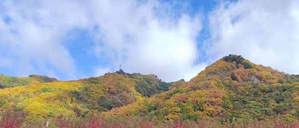 沈陽土壤檢測